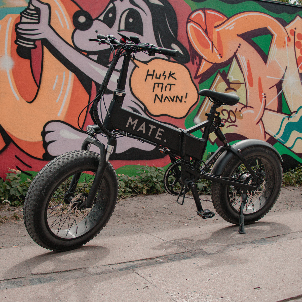 mate x 250w subdued black elektrofahrrad Subdued Black – MATE.BIKE ME